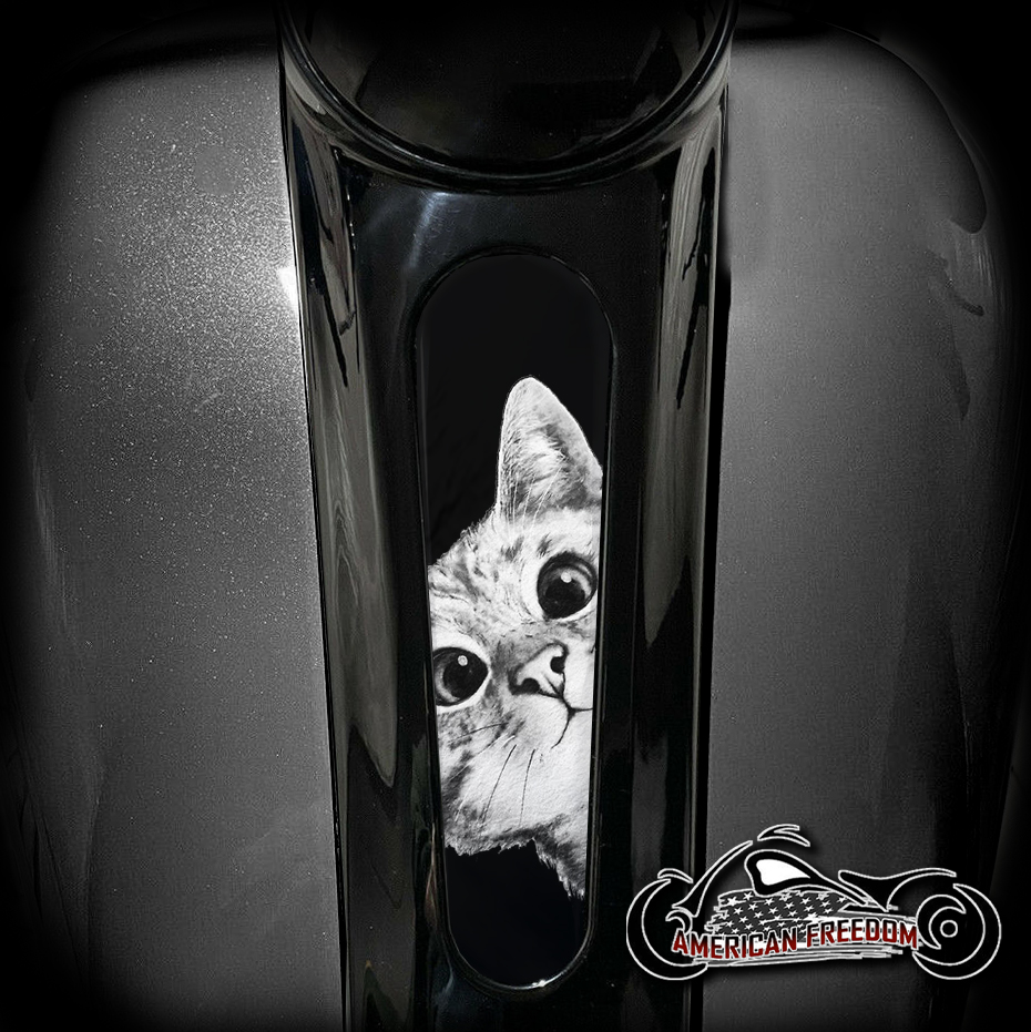 Harley 8 Inch Dash Insert - Peeking Kitty